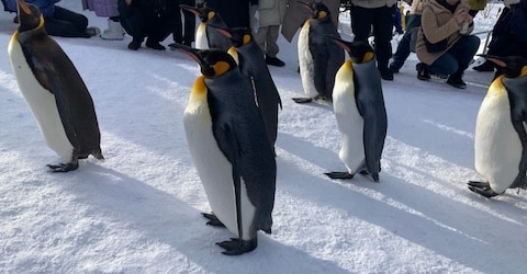 趣味のひとつである動物園巡り
