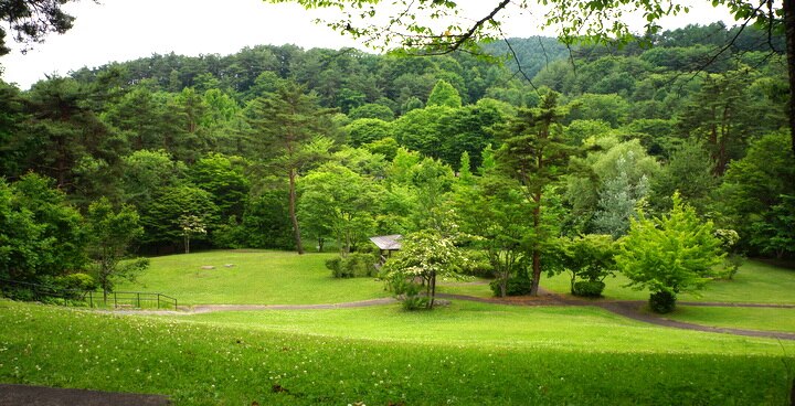 image10
