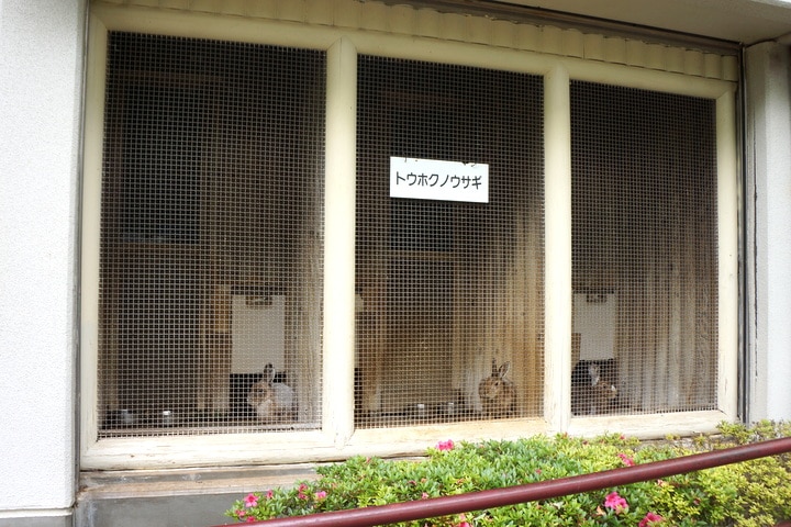 image14