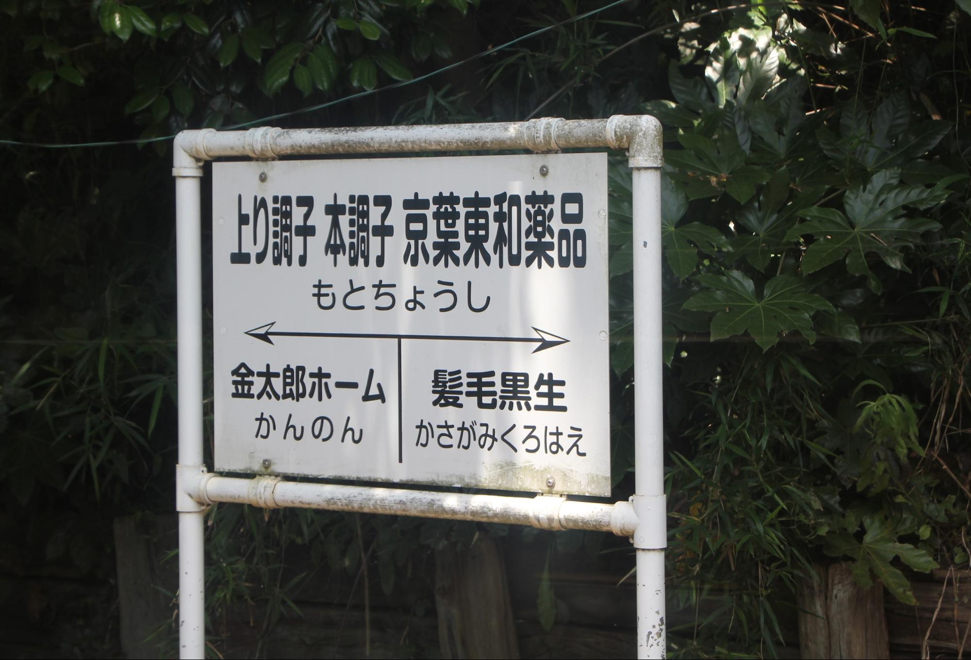 画像タイトル